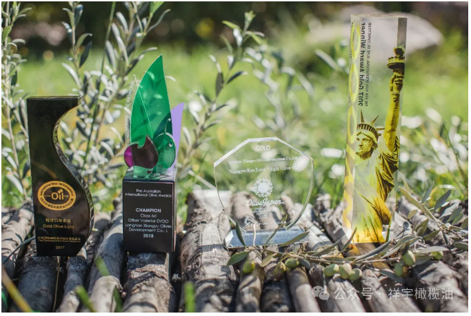 202407251721894716985241.png image.png