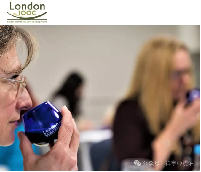 202407251721894734925008.png image.png