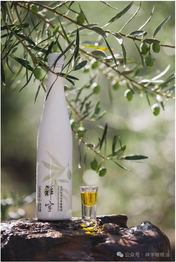 202407251721894797121967.png image.png